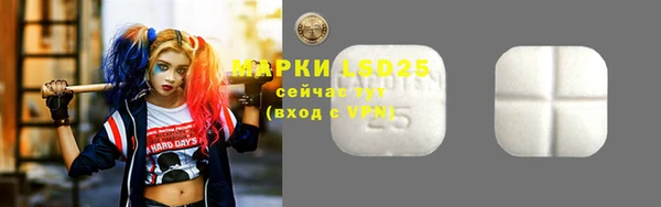 индика Зерноград