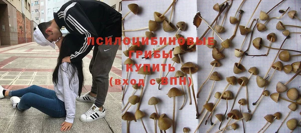 герыч Зеленокумск