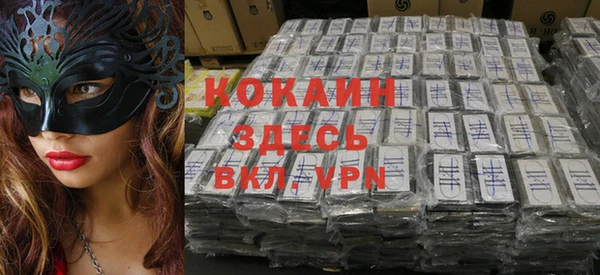индика Зерноград