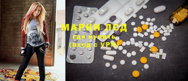 индика Зерноград