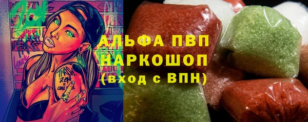 СК Зеленодольск