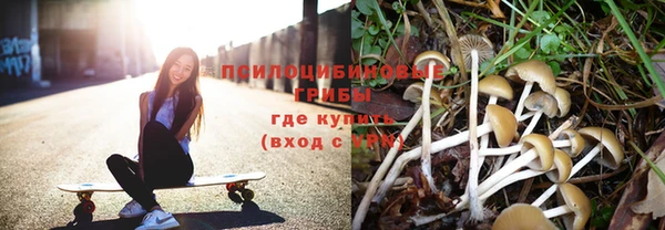 СК Зеленодольск
