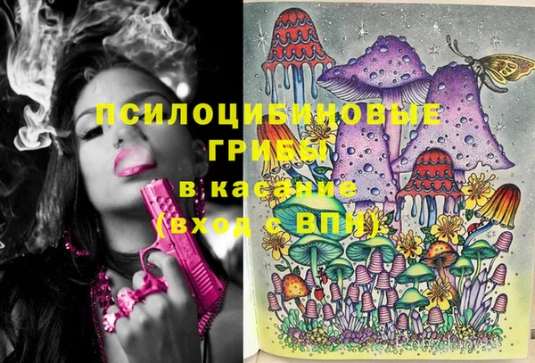 герыч Зеленокумск